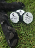 Dog Paw & Nose Balm with Grass-Fed Tallow